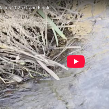 Screenshot 2025-12-26 at 12.20.44 PM